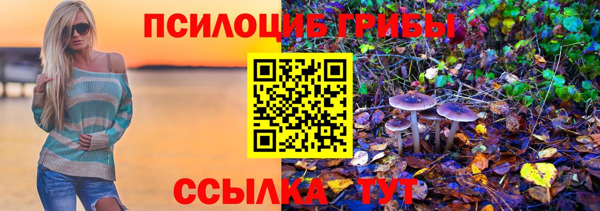 ГАШ Славгород