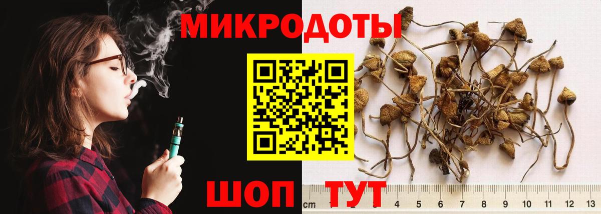 что такое   Галлюциногенные грибы MAGIC MUSHROOMS  Вход с VPN  Галлюциногенные грибы Psilocybine cubensis  Славгород 