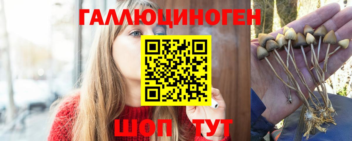 Галлюциногенные грибы ЛСД Славгород